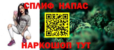 прущие крисы Будённовск