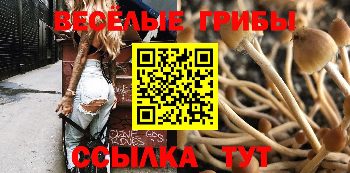 Амфетамин кристаллы  NBOMe  Лесной  Сколько стоит  ГАШ  Мефедрон кристаллы  Cocaine  Бошки Шишки  Вход с VPN  MDMA 