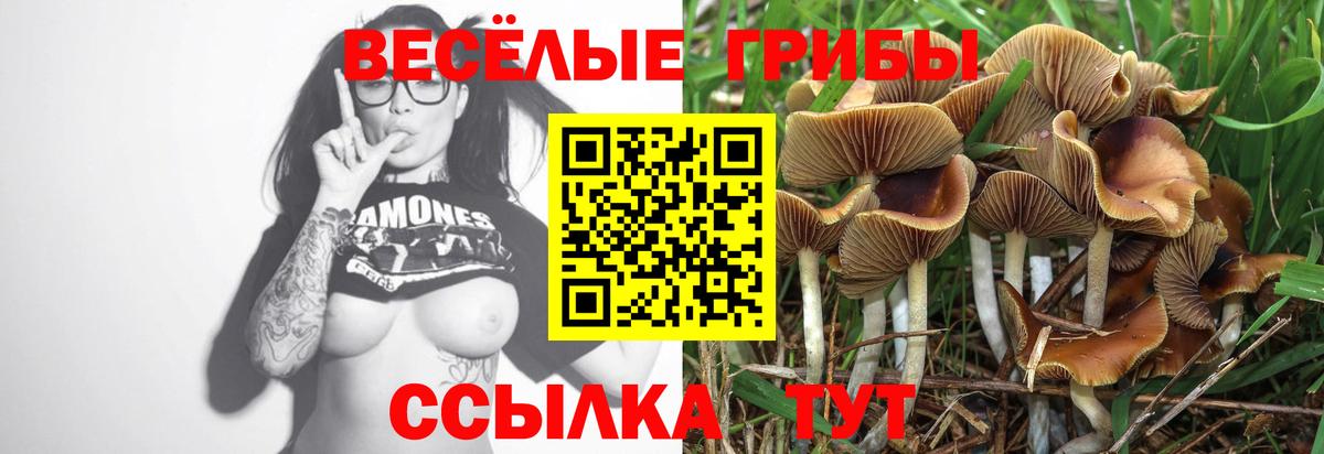 Псилоцибиновые грибы мицелий Лесной