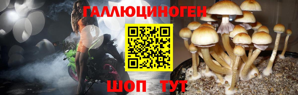 Лесной  купить наркоту  Вход с VPN  Псилоцибиновые грибы мухоморы 
